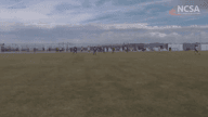 Video of 2016 Highlights 