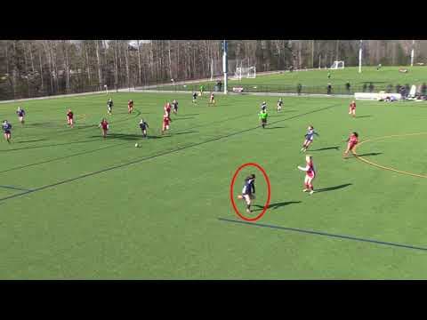 Video of 2018 Highlights