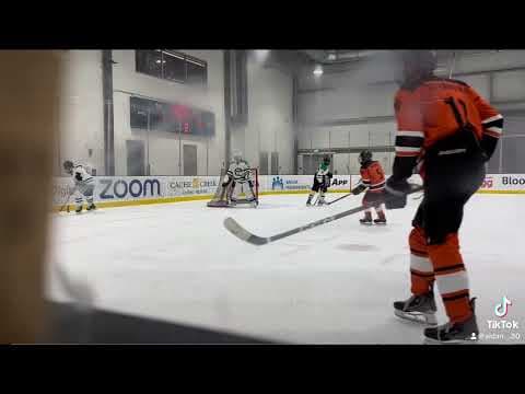 Video of Lil Goalie Mix
