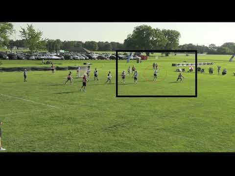 Video of 2024 Summer Highlights