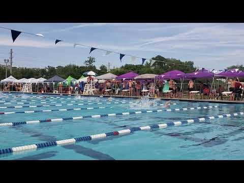Video of 100 Free Final Area 6 April 2019