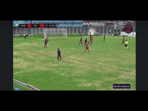 Video of Highlights