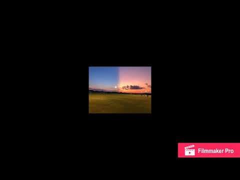 Video of Highlight Reel 2019
