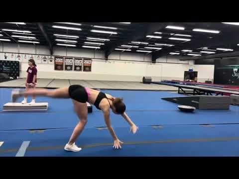 Video of Highlights 