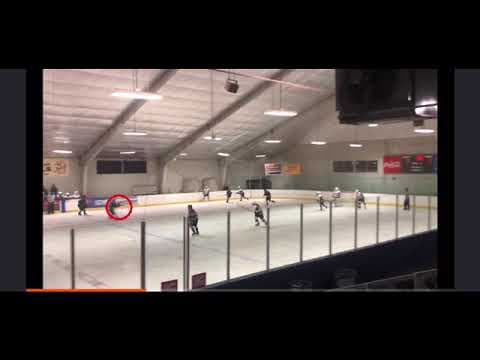 Video of Julia Williams MIAA State Hockey Tournament 2022