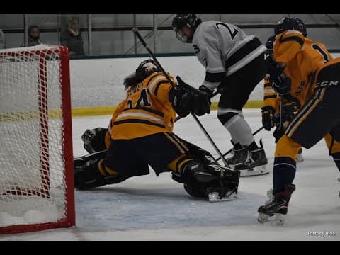Video of Jake Agoglia 18U AAA 2021/22 Full Season Highlights - .905 sv% 4.13GAA including NAPHL and BEAST League action. 1096 saves on 1211 shots in 1392 mins.
