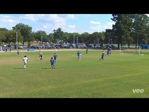 Video of Highlights 2024