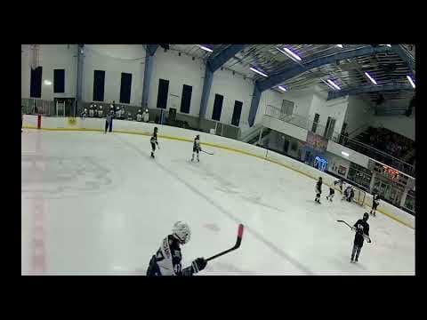 Video of Puck steal, breakaway score
