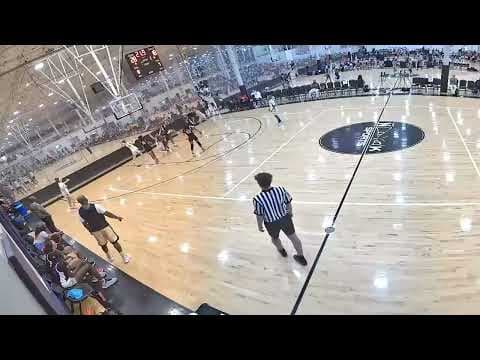 Video of Savanna #33