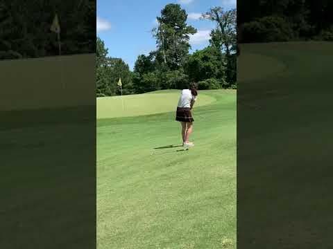 Video of Chip
