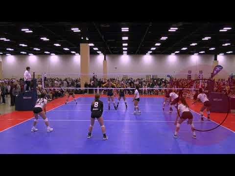 Video of Early 2020 Highlights