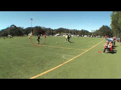 Video of highlights