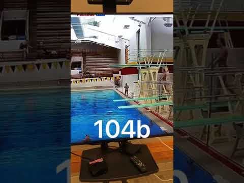 Video of Casey's dives (Feb. 2020)