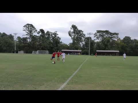 Video of Westlake Albion Highlights 2020