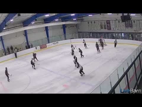 Video of Goalie save