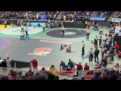 Video of States