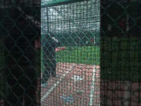 Video of March 2, 2025