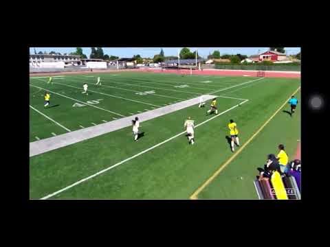 Video of Highlights 