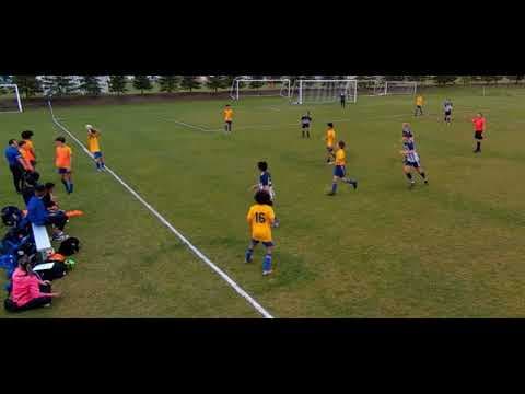 Video of Some 2023 Highlights