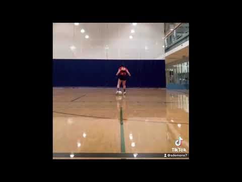 Video of Self training 