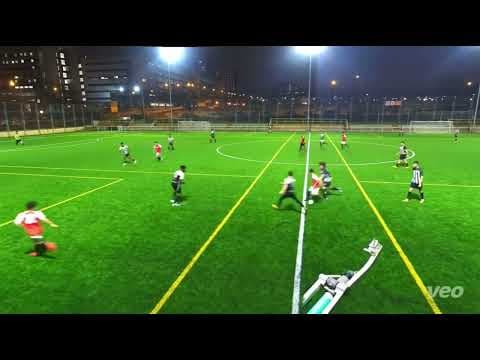 Video of Highlights 