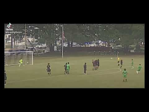 Video of Highlights 