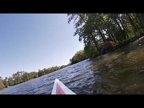 Video of EVSRA Regional Championships (Finals)