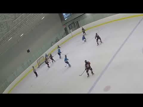 Video of 2022