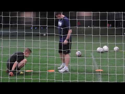 Video of Training session