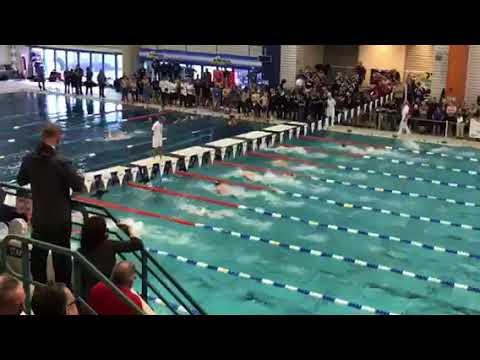 Video of 2017 NYS State Boys High School Swimming Championship