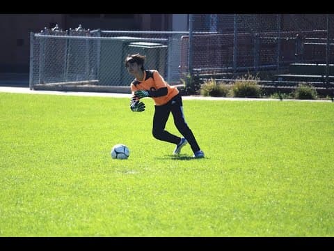 Video of Andrew Algava grad 2026 Goalkeeper Highlight Video