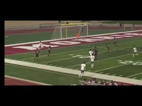 Video of fern RTHS 2023-2