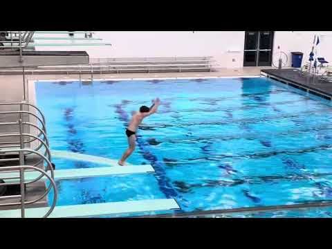 Video of Recent Dives 