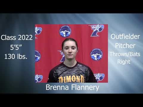 Video of HitTrax Batting Footage