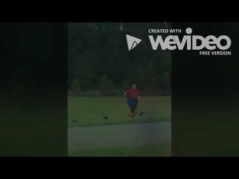Video of Daniel Spring 2020