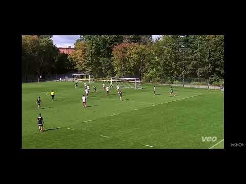Video of Billy Gillespie Highlights