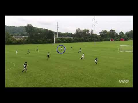 Video of Cortland ID camp highlights