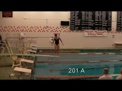 Video of 11 dive meet, score: 442.80