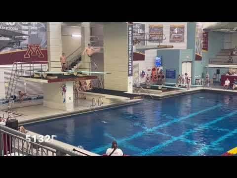 Video of 3m Dives