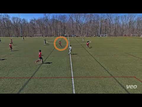 Video of March 2025 Highlights