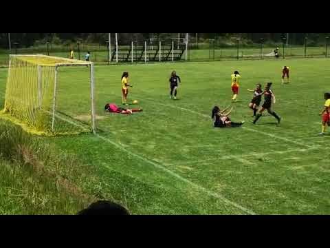 Video of Futbol Videos