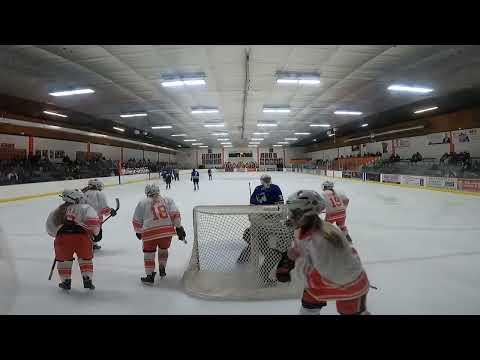 Video of Alexa Bricko Goal #19- Varsity game Farmington vs Owatonna 