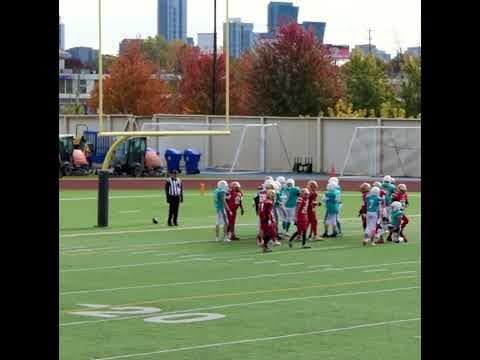 Video of Blocked Kick