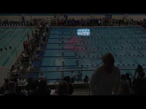 Video of SCY PRO AM 200BK