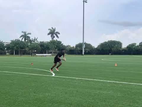 Video of Fielding
