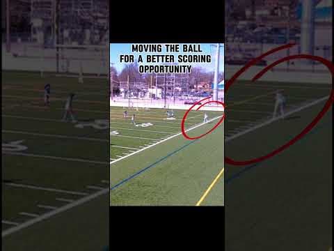 Video of Showcase Summary - MDL 2024