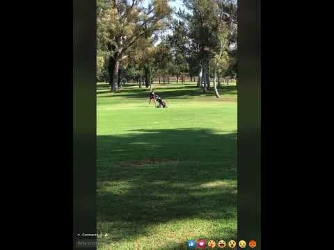 Video of Chloe’s Tee Off 