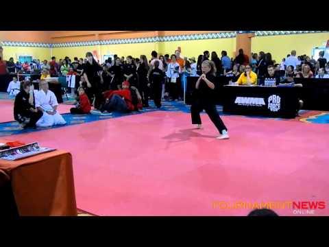 Video of martial arts skills