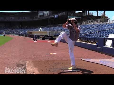 Video of Summer 2020