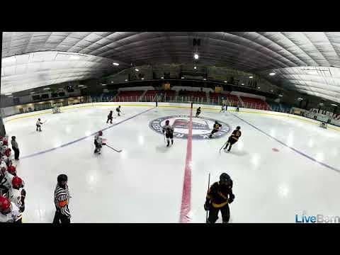 Video of November 16 2025 VS Leaside